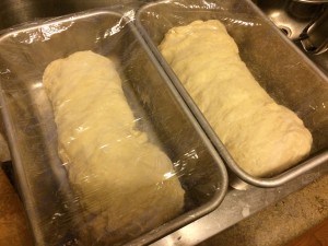 Divided dough on its second rise.