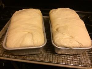 Bread after its second rise ready to be baked.