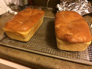 Baked bread cooling before being consumed.